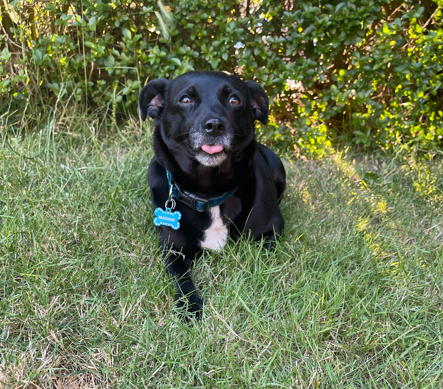 Treat Maggie